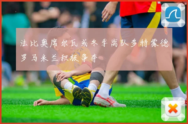 法比奥席尔瓦或冬季离队多特蒙德罗马米兰积极争夺