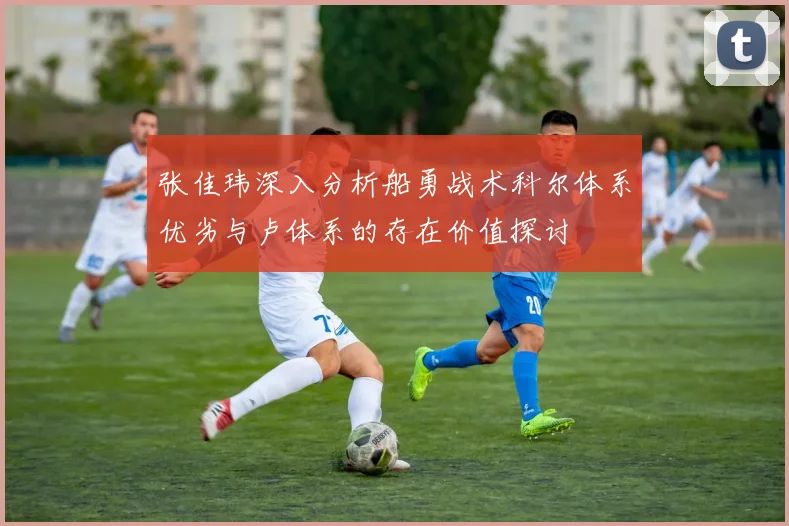 张佳玮深入分析船勇战术科尔体系优劣与卢体系的存在价值探讨