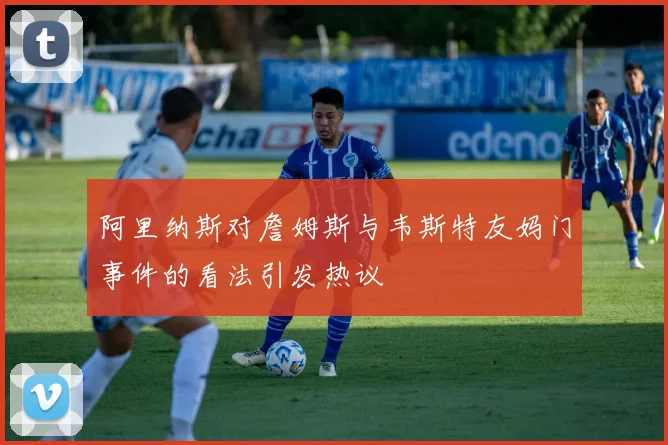 阿里纳斯对詹姆斯与韦斯特友妈门事件的看法引发热议
