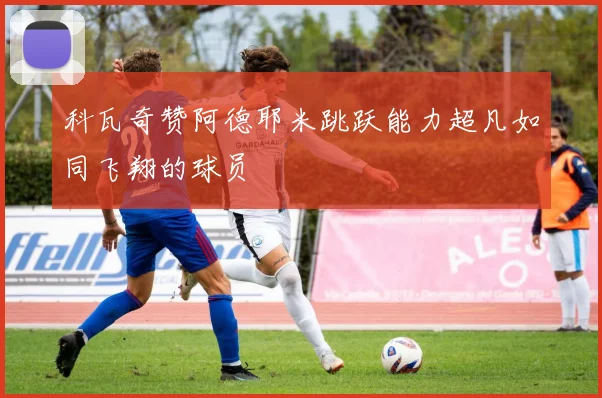 科瓦奇赞阿德耶米跳跃能力超凡如同飞翔的球员