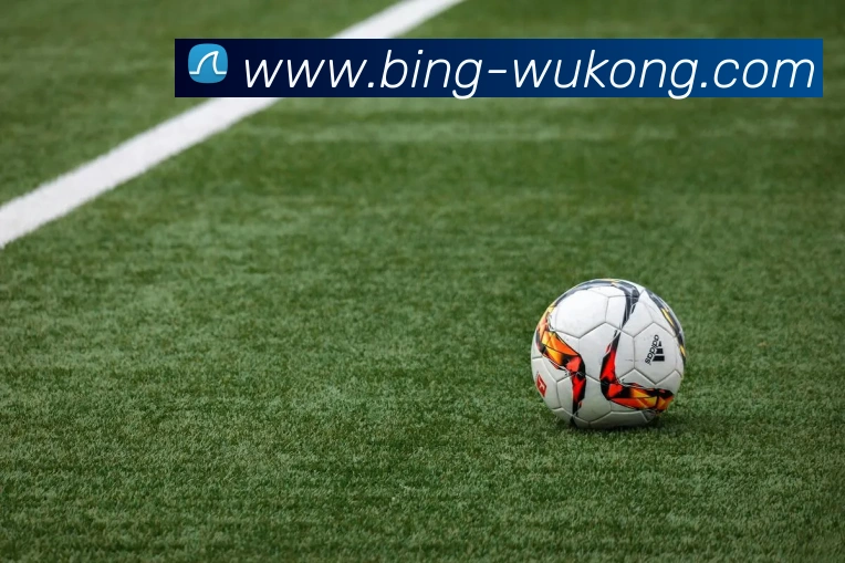 悟空体育发展历程